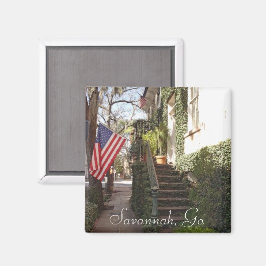 Savannah Staircase Magnet (Vorderseite/Rückseite)