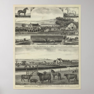 Savannah Stock Farmand Residences, Kansas Poster