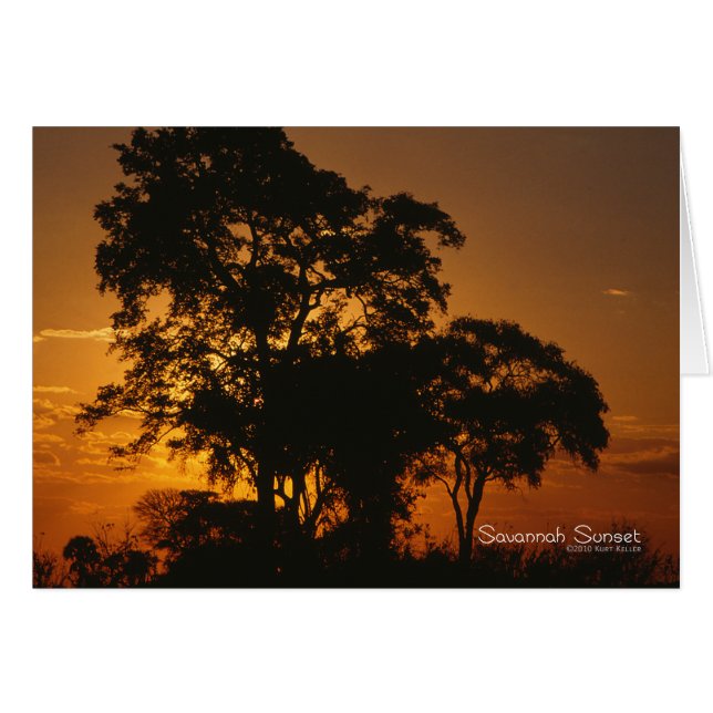 Savannah Sunset (Vorderseite (Horizontal))