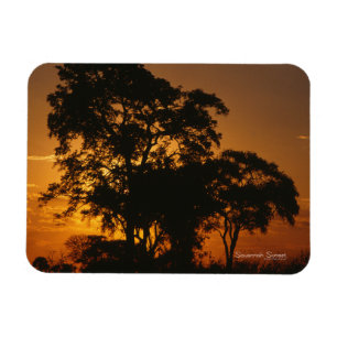 Savannah Sunset Foto Magnet