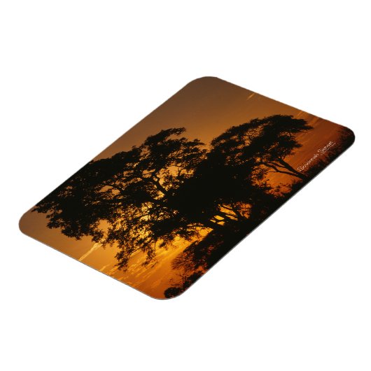 Savannah Sunset Foto Magnet (Linke Seite)