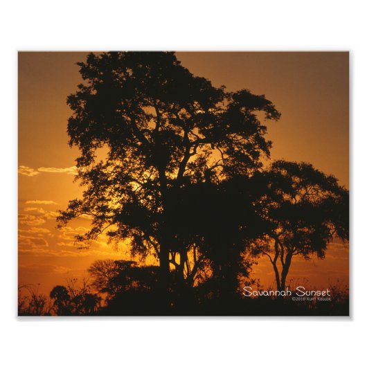 Savannah Sunset Fotodruck (Vorne)