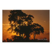 Savannah Sunset Fotodruck (Vorne)