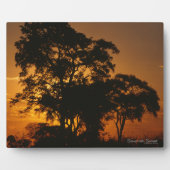 Savannah Sunset Fotoplatte (Vorderseite)