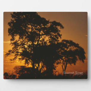 Savannah Sunset Fotoplatte