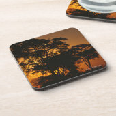 Savannah Sunset Getränkeuntersetzer (Linke Seite)