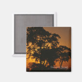 Savannah Sunset Magnet (Vorderseite/Rückseite)