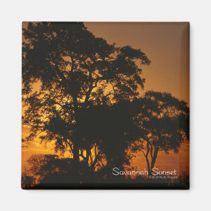 Savannah Sunset Magnet
