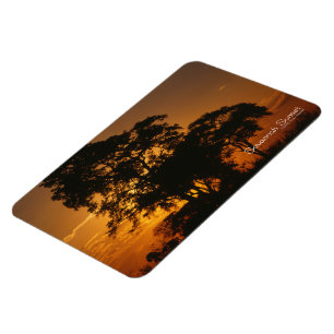 Savannah Sunset Magnet