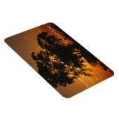 Savannah Sunset Magnet (Rechte Seite)