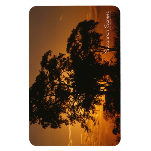 Savannah Sunset Magnet (Vertikal)