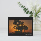 Savannah Sunset Postcard Postkarte (Stehend Vorderseite)