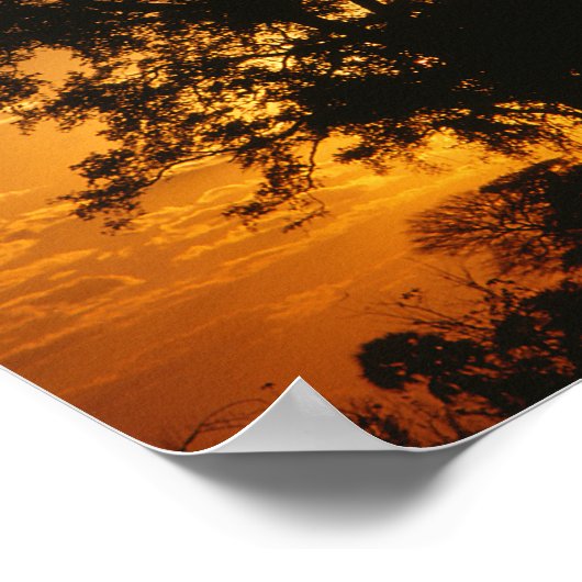 Savannah Sunset Poster (Ecke)