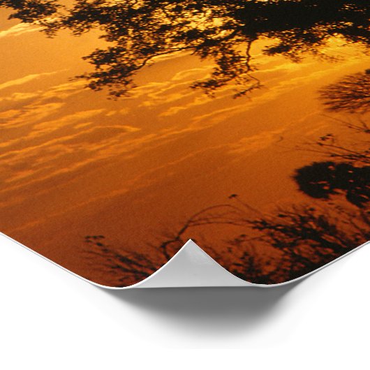 Savannah Sunset Poster (Ecke)