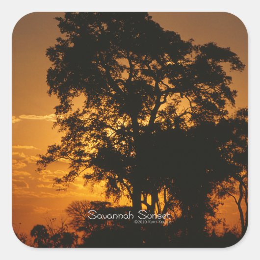 Savannah Sunset Quadratischer Aufkleber (Vorderseite)