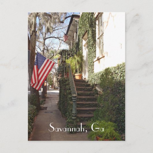 Savannah Treaircase Postcard Postkarte (Vorderseite)