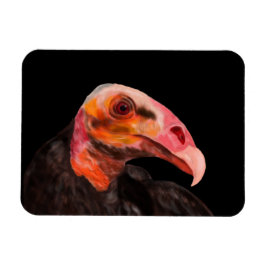 Savannah Vulture Magnet
