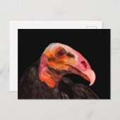 Savannah Vulture Postkarte (Vorne/Hinten)
