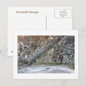 Savannah Wall Postkarte (Vorne/Hinten)