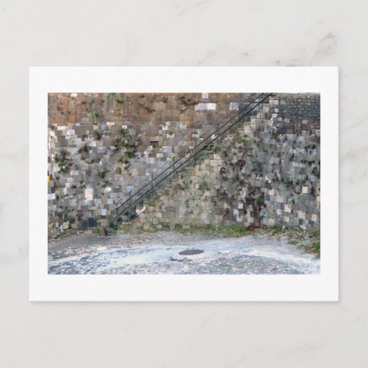 Savannah Wall Postkarte (Vorderseite)