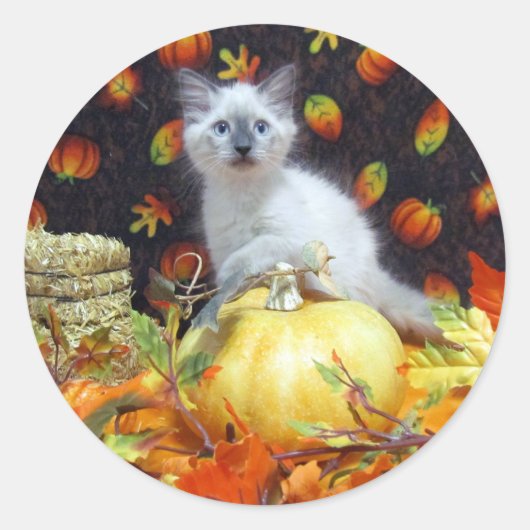 Savannahs Fall / Herbst / Halloween Cat Stickers (Vorderseite)