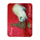 Savannahs Weihnachtsmagnet - Katze / Kitten Magnet (Vertikal)