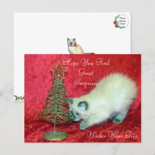 Savannahs Weihnachtsüberraschung - balinesische Ka Postkarte