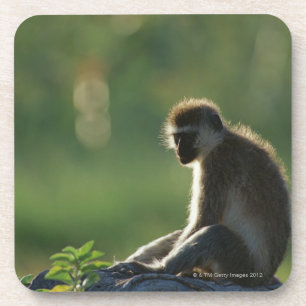 Savanne-Affe Untersetzer