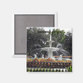 Savanne georgia Brunnen Magnet (Vorderseite/Rückseite)