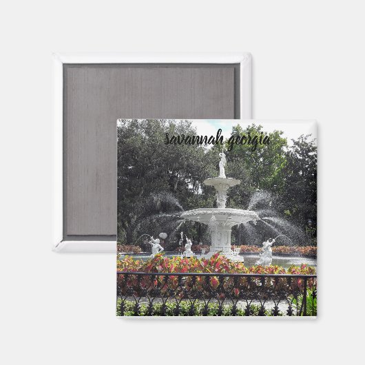 Savanne georgia Brunnen Magnet (Vorderseite/Rückseite)