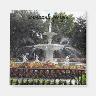 Savanne georgia Brunnen Magnet