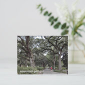 Savanne Georgia im Park Postkarte (Stehend Vorderseite)