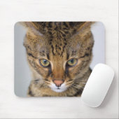 Savanne-Katze Mousepad (Mit Mouse)
