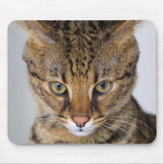 Savanne-Katze Mousepad