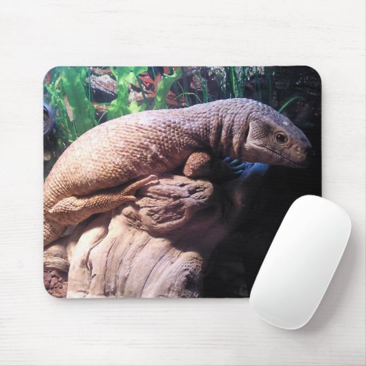 Savanne-Monitor Mousepad (Mit Mouse)