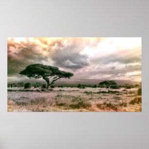 Savanne-Nationalpark Afrikaner-Saharas Serengeti Poster