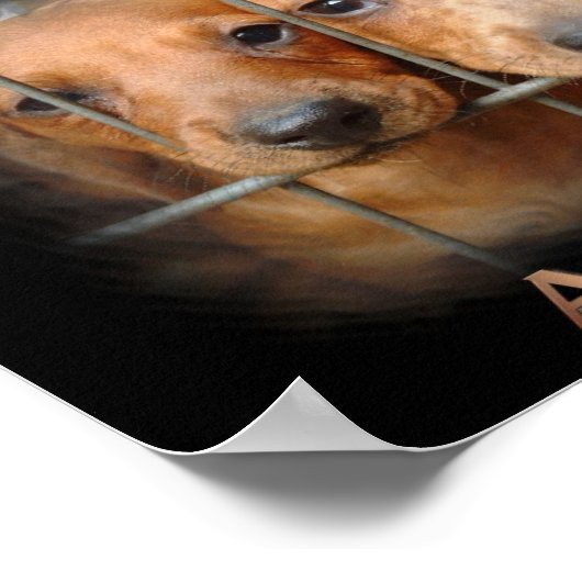 Save a Life Adopt a Pet poster (Ecke)