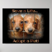 Save a Life Adopt a Pet poster (Vorne)