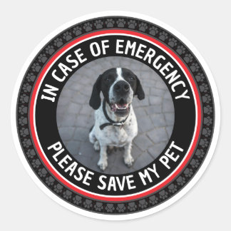 SAVE MY PET Safety Alert Custom Photo Modern  Runder Aufkleber