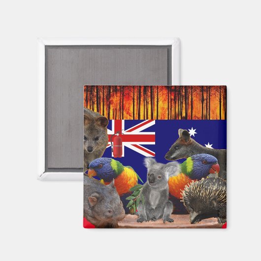 Save Our Homes - Feuerlöguish Magnet (Vorderseite/Rückseite)