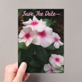 Save the Date 2025/26 Acryleinladungen (Insitu (Handheld))
