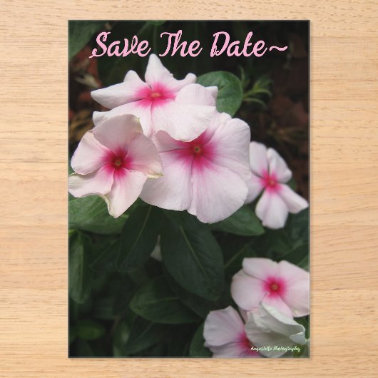 Save the Date 2025/26 Acryleinladungen (Vorderseite)
