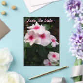 Save the Date 2025/26 Acryleinladungen (In Situ (Hochzeit))