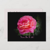 Save the Date 20-jähriges Party Rosa Rose Ankündigungspostkarte (Vorne/Hinten)