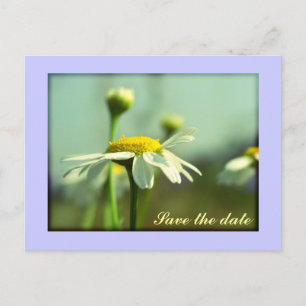 Save the Date Ankündigungspostkarte