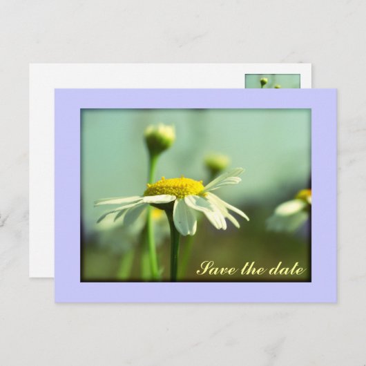 Save the Date Ankündigungspostkarte (Vorne/Hinten)