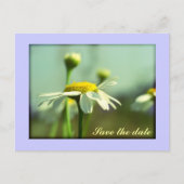 Save the Date Ankündigungspostkarte (Vorderseite)