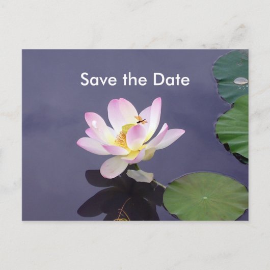Save the Date Ankündigungspostkarte (Vorderseite)