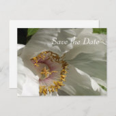 Save the Date Ankündigungspostkarte (Vorne/Hinten)