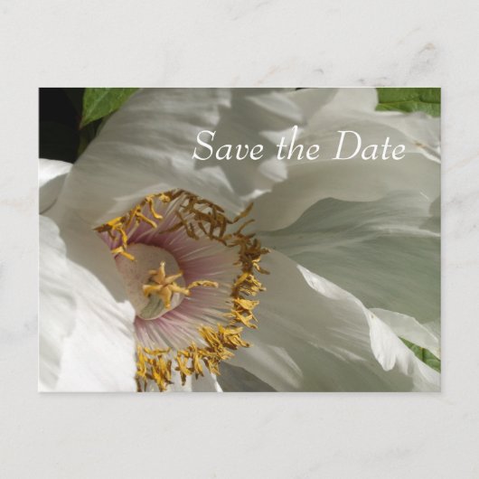 Save the Date Ankündigungspostkarte (Vorderseite)